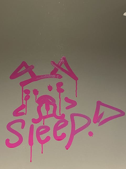 Graffiti of a cute dog-like creature and the word, 'SLEEP!' written in pink spray paint with a dripping effect